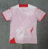 23-24 Fiorentina Soccer Jersey Fourth Away Replica Fan Version - view 4