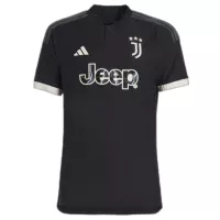 23-24 Juventus Third Away Jersey Player Version - view 1