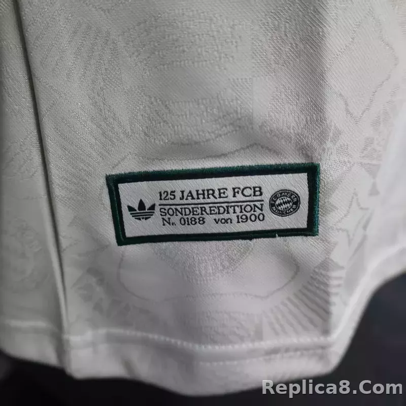 25-26 Bayern Munich Special Football Jersey - detail