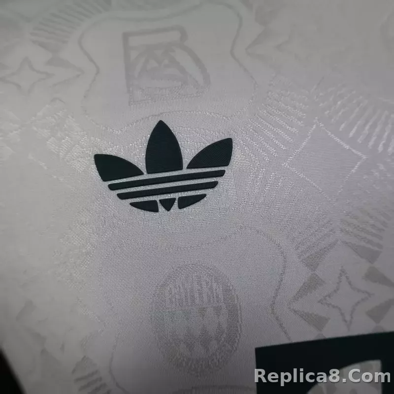 25-26 Bayern Munich Special Football Jersey - detail