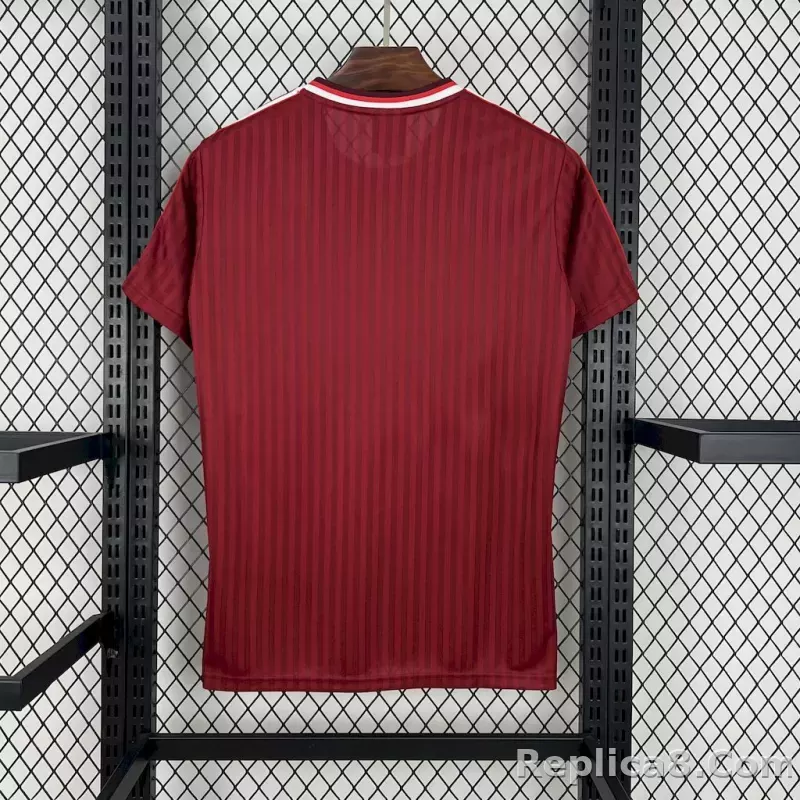 25-26 Bayern Special Edition Soccer Jersey - detail