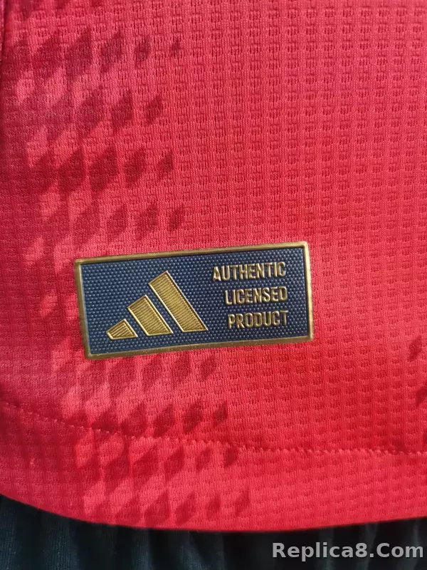 24-25 Bayern Munich Home Player Version - detail