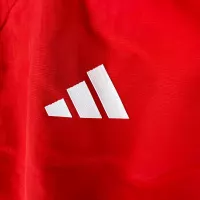 2023-2024 Bayern Munich Reversible Windbreaker （Red-white）Soccer Jersey 1:1 Thai Quality - view 6