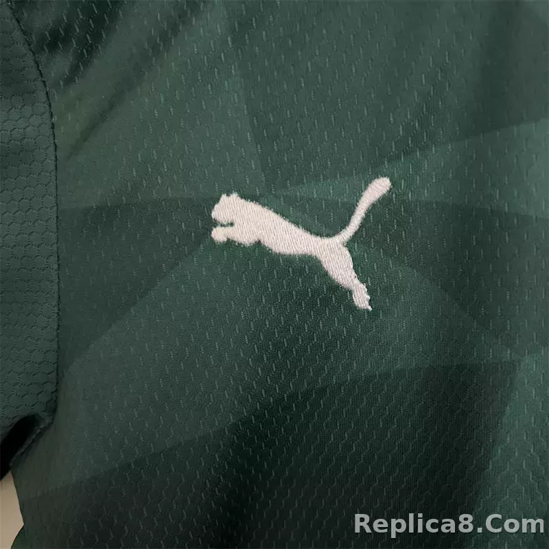 23-24 SE Palmeiras Home Kids Kit Jersey+Shorts - detail