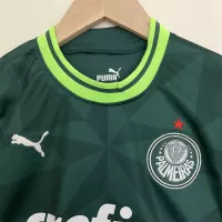 23-24 SE Palmeiras Home Kids Kit Jersey+Shorts - view 4