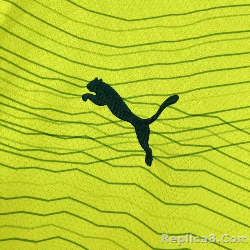 23-24 SE Palmeiras Third Away Jersey Fan Edition - detail