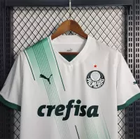 23-24 SE Palmeiras Away Jersey Fan Edition - view 22