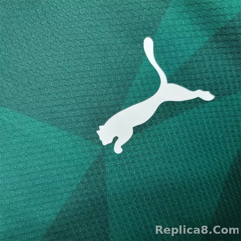 23-24 SE Palmeiras Home Jersey Fan Edition - detail