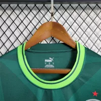 23-24 SE Palmeiras Home Jersey Fan Edition - view 5