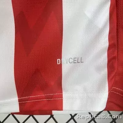 25-26 PSV Eindhoven Home Soccer Jersey - detail