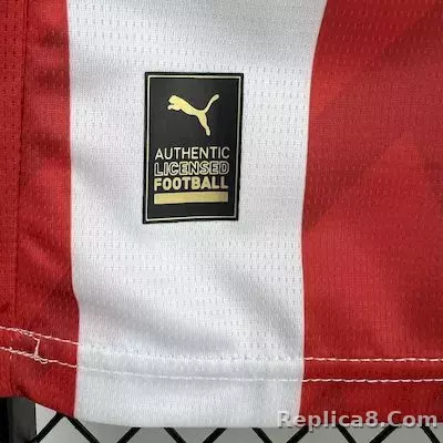 25-26 PSV Eindhoven Home Soccer Jersey - detail
