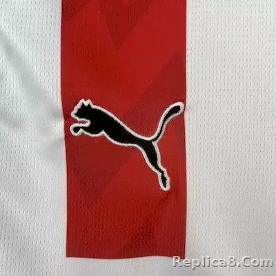 25-26 PSV Eindhoven Home Soccer Jersey - detail