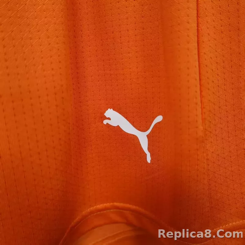 2026 Côte d'Ivoire Home World Cup Soccer Shorts Player Version - detail