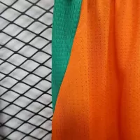 2026 Côte d'Ivoire Home World Cup Soccer Shorts Player Version - view 7