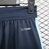 2026 Argentina Home World Cup Shorts Player Version - view 8