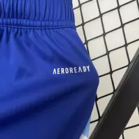 2024 Argentina Copa America  Away Shorts - view 6