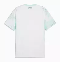 2026 Austria World Cup Away Football Jersey - view 3