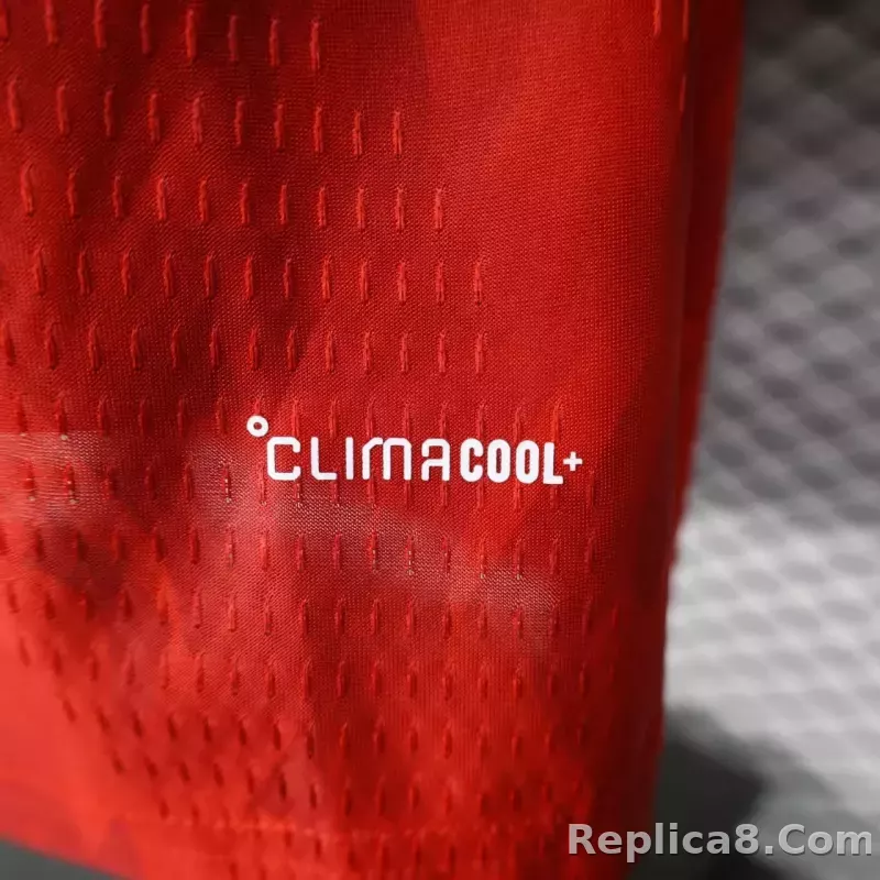 2026 Belgium World Cup Home Football Jersey Player Version - detail