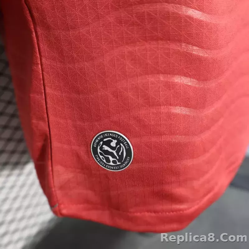 2026 Portugal  Home World Cup Soccer Jersey Player Version Long Sleeve - detail