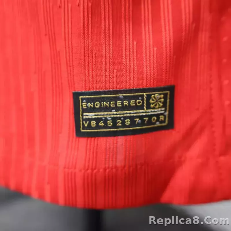 2024 Portugal Euro Cup Home Soccer Jersey Player Edition - detail