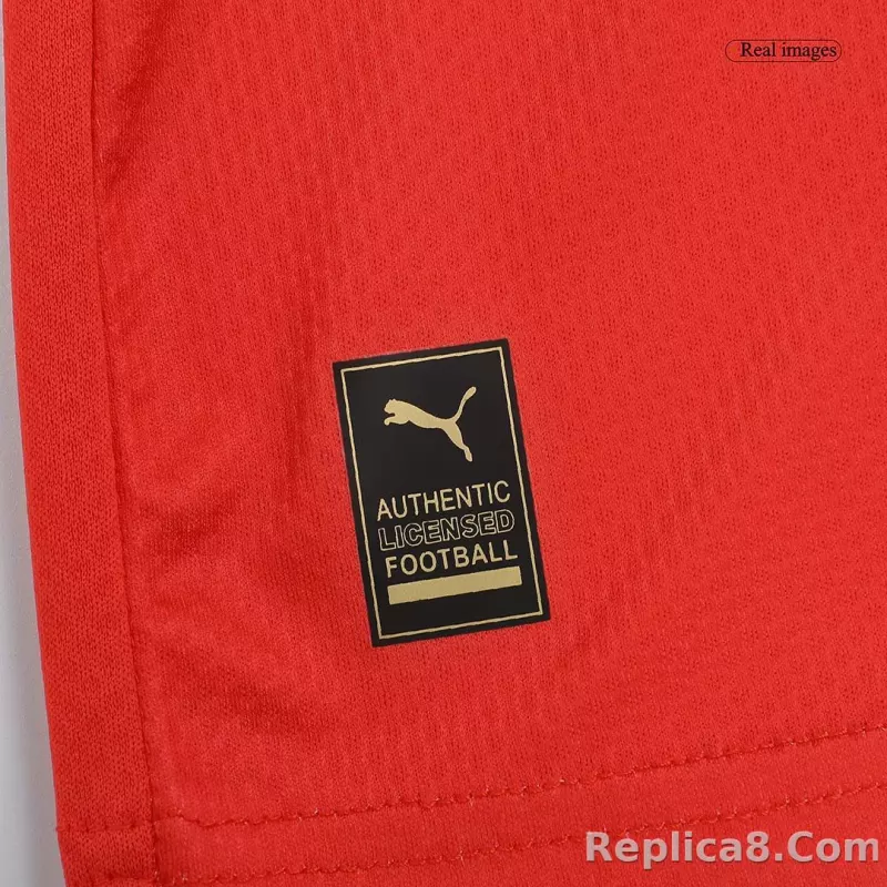 2022 Morocco World Cup Home Jersey Fan Edition - detail
