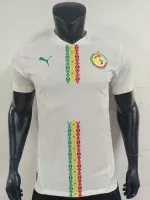 Senegal Home Jersey - view 1