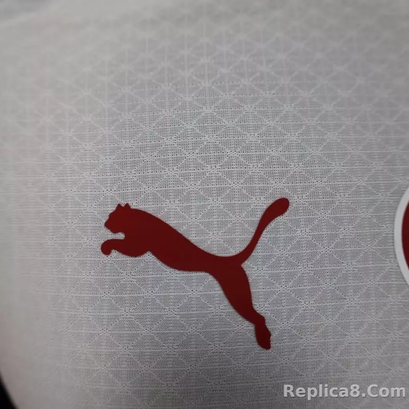 25-26 Galatasaray S.K. Away Soccer Jersey Player Version - detail