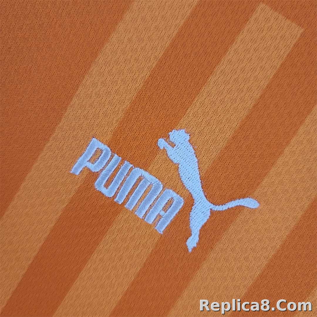 22-23 Ivory Coast Home Fan Edition Soccer Jersey - detail
