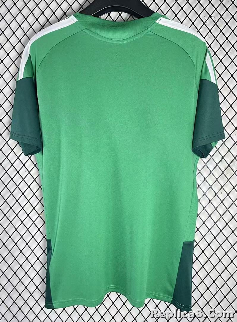 Algeria Training Jersey - detail